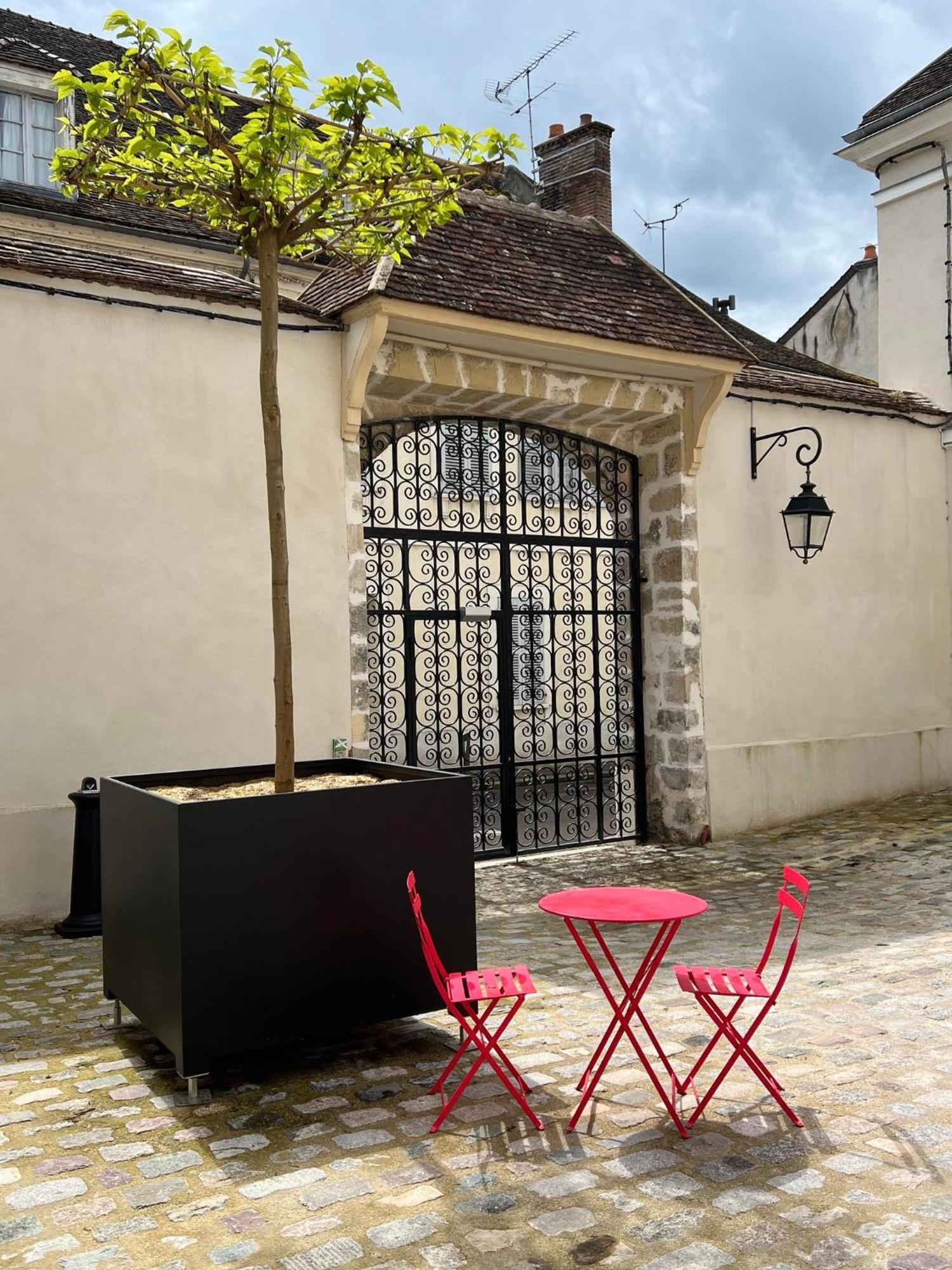 Le Laurencin Sens - Le Duplex - Coeur De Ville Luaran gambar